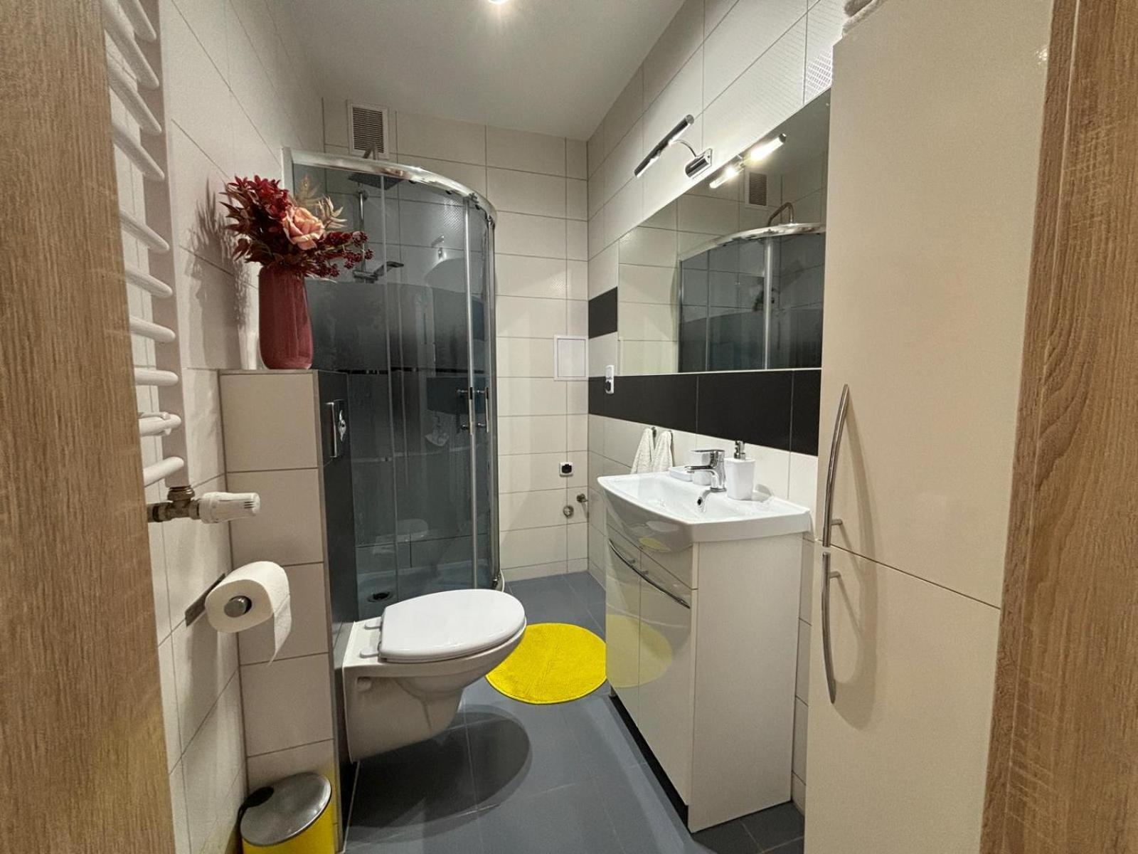 Apartament Wygodny Устрики-Долішні Екстер'єр фото